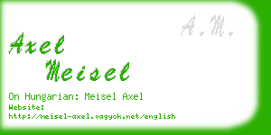 axel meisel business card